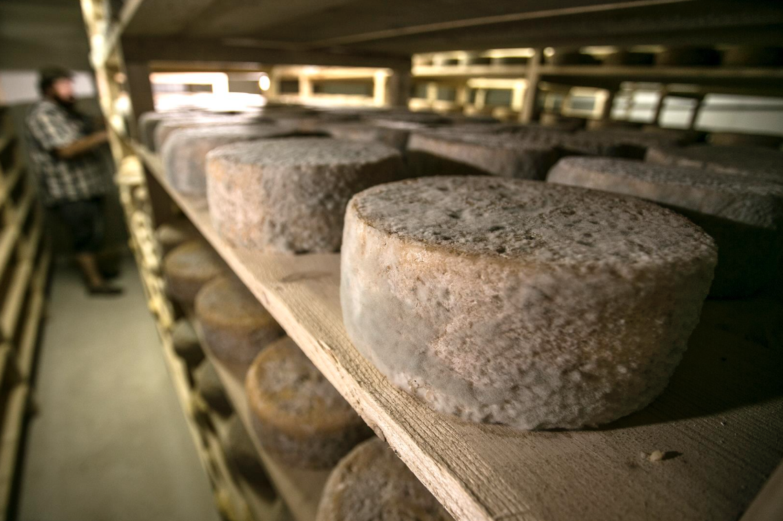 Cheese trip Brittany