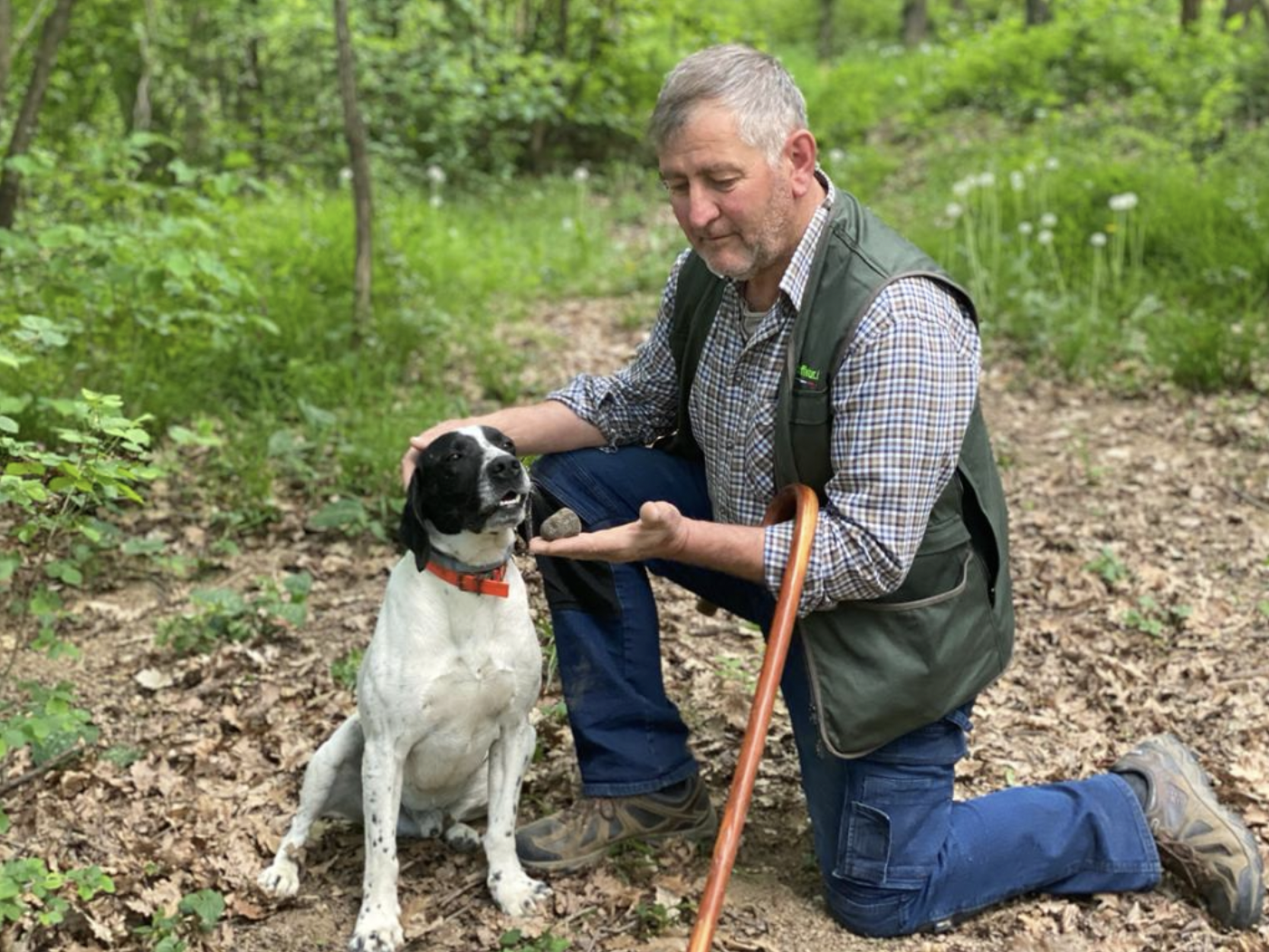 Book Truffle Hunt Piedmont