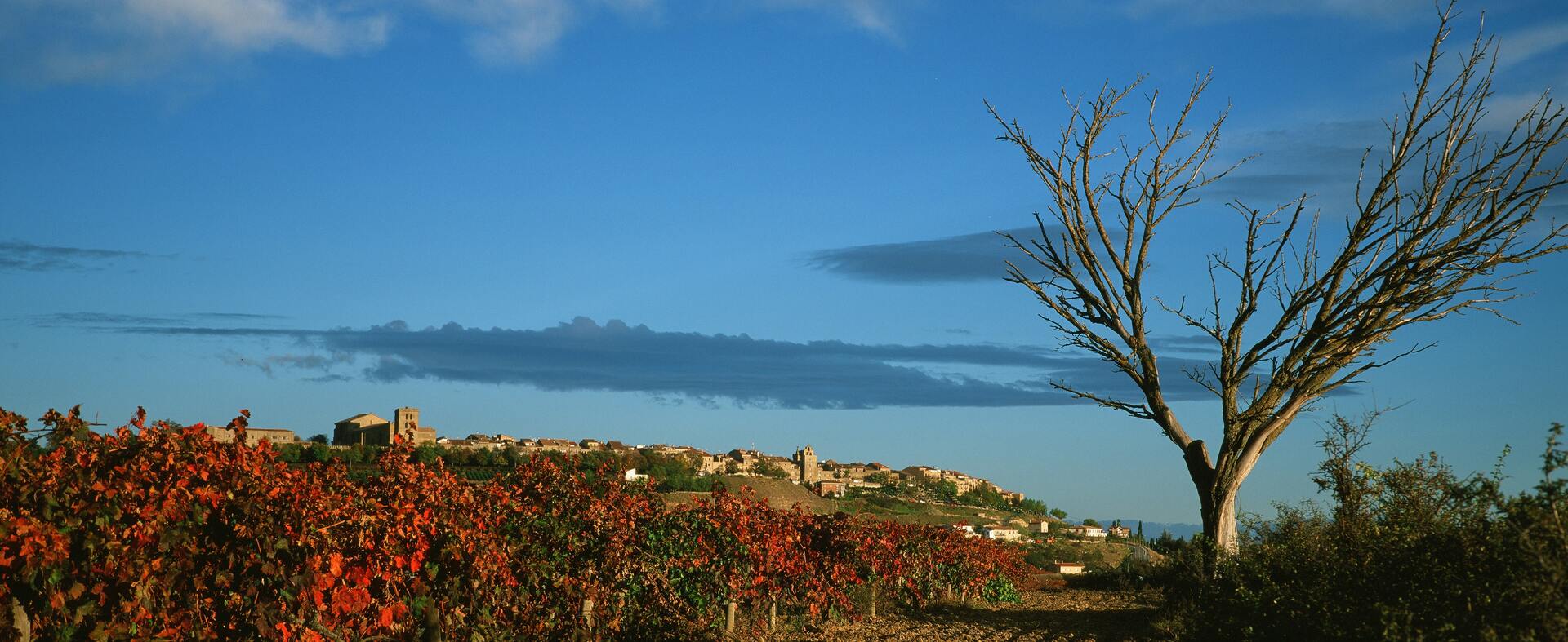 Rioja group tour