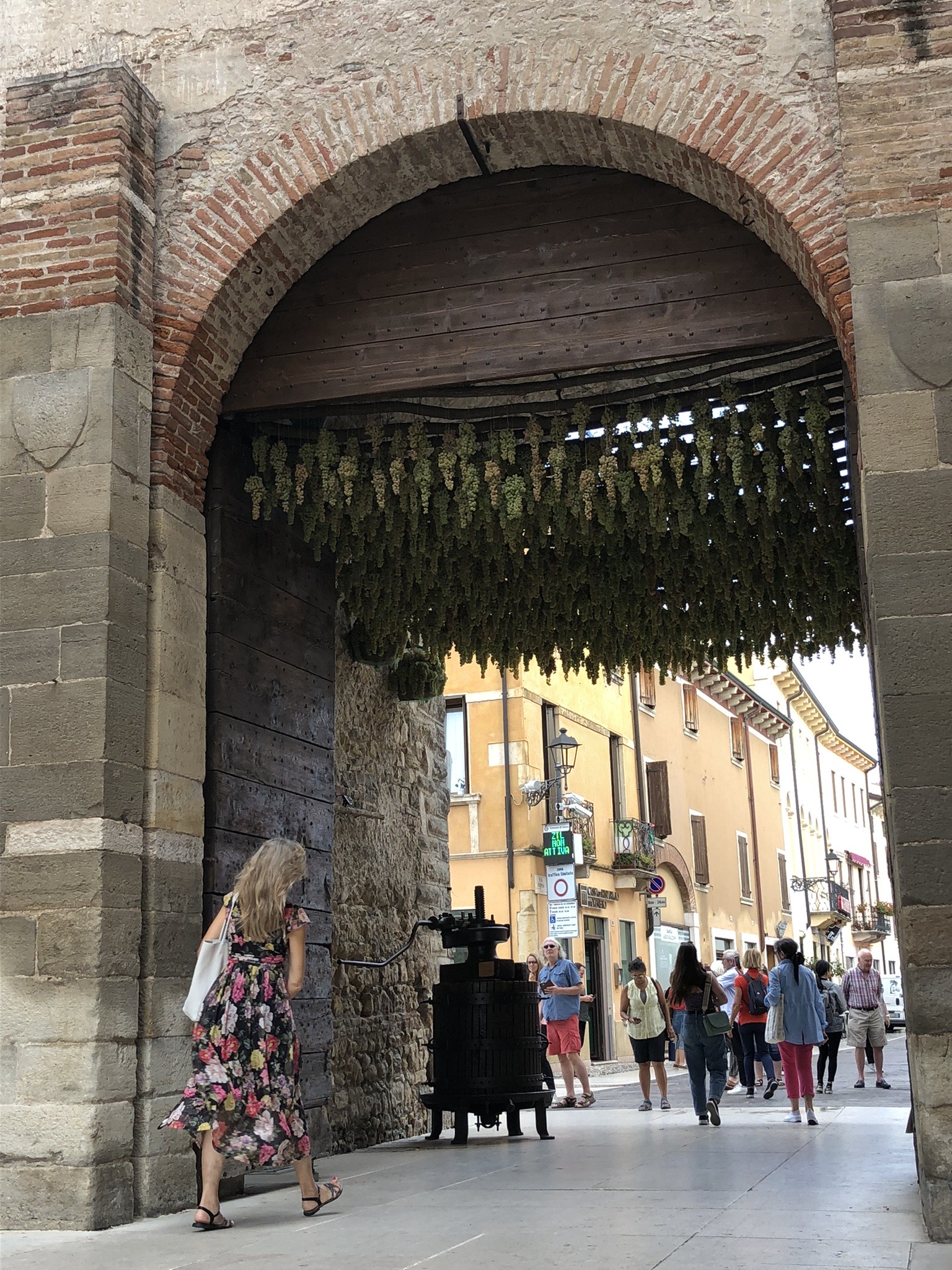 Soave excursion tip Verona