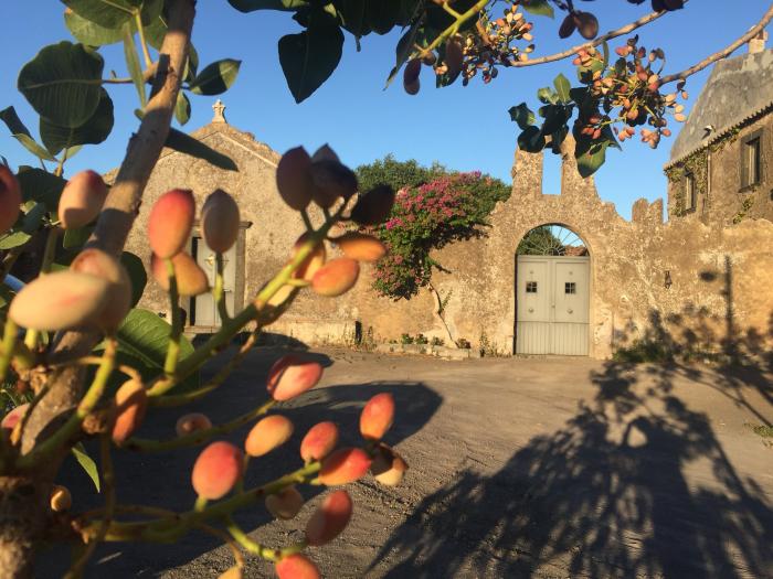 ENJOYABLE SICILY GROUP TOUR: EXPLORE SICILY'S CUISINE, WINES AND BAROQUE CITIES FROM CATANIA VIA PALERMO TO SYRACUSE ENJOYABLE SICILY GROUP TOUR: EXPLORE SICILY'S CUISINE, WINES AND BAROQUE CITIES FROM CATANIA VIA PALERMO TO SYRACUSE