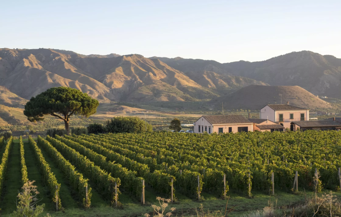 ENJOYABLE SICILY GROUP TOUR: EXPLORE SICILY'S CUISINE, WINES AND BAROQUE CITIES FROM CATANIA VIA PALERMO TO SYRACUSE ENJOYABLE SICILY GROUP TOUR: EXPLORE SICILY'S CUISINE, WINES AND BAROQUE CITIES FROM CATANIA VIA PALERMO TO SYRACUSE