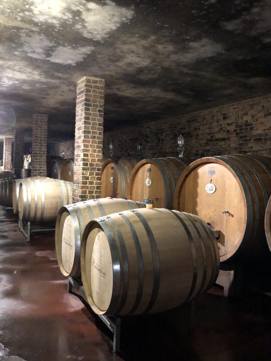 Der beste Barolo des Piemonts. Der beste Barolo des Piemonts.