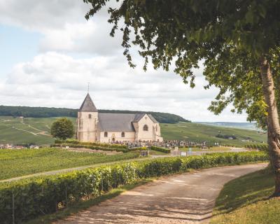 Gruppenreise Champagner Reims