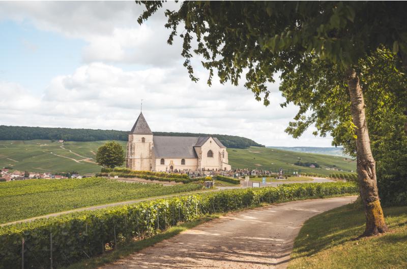 Gruppenreise Champagner Reims