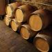 Vacation and roundtrip Central Italy: Tuscany, Umbria and the Marche region