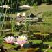 Vacation and roundtrip Central Italy: Tuscany, Umbria and the Marche region