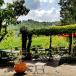 Vacation and roundtrip Central Italy: Tuscany, Umbria and the Marche region
