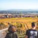 Kulinarische Reise in kleiner Gruppen in der Champagne mit Verkostungen.
