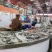 Erlebnisreise Portugal mit Fischmarkt und Kochkurs.