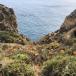 GOURMET TRIP TO THE ALGARVE: VACATION BY THE SEA UNDER MICHELIN STARS