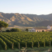 ENJOYABLE SICILY GROUP TOUR: EXPLORE SICILY'S CUISINE, WINES AND BAROQUE CITIES FROM CATANIA VIA PALERMO TO SYRACUSE