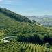 Handverlesene Reisen ♥ Urlaub in kleiner Gruppe - Bilbao San Sebastian Baskenland und Rioja