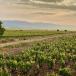 BASQUE COUNTRY AND RIOJA: Discover Bilbao, San Sebastian in a small group!
