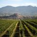 BASQUE COUNTRY AND RIOJA: Discover Bilbao, San Sebastian in a small group!