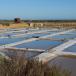 Rundreise Algarve: Olhao, Sagres und Silves entdecken.